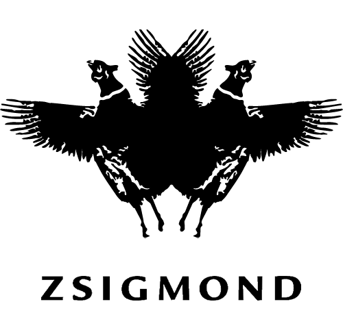 ZSIGMOND